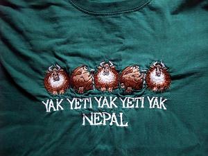 This classy tourist tee-shirt is readily available in the souvenir shops of Kathmandu. Unfortunately I don't have a photo of a real live yeti.