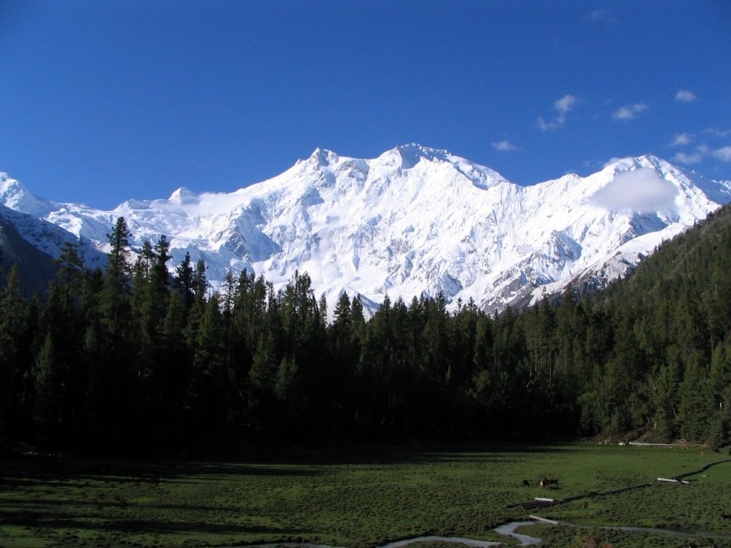 Nanga Parbat from the Fairy Meadow (Photo: Atif Gulzar)