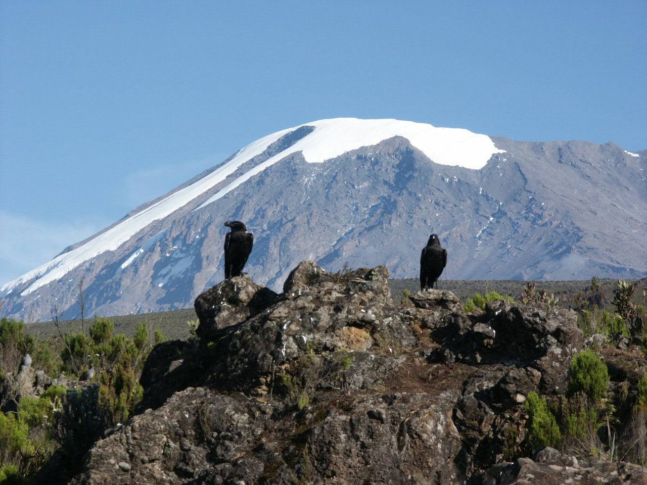 The snows of Kilimanjaro, and why seeing is believing Mark Horrell