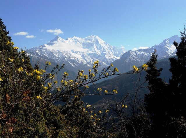 Tilman tried to get up Langtang Lirung, the highest mountain in the Langtang Valley, but failed to even find a way to its foot (Photo: Siling Ghale / The Responsible Travellers)